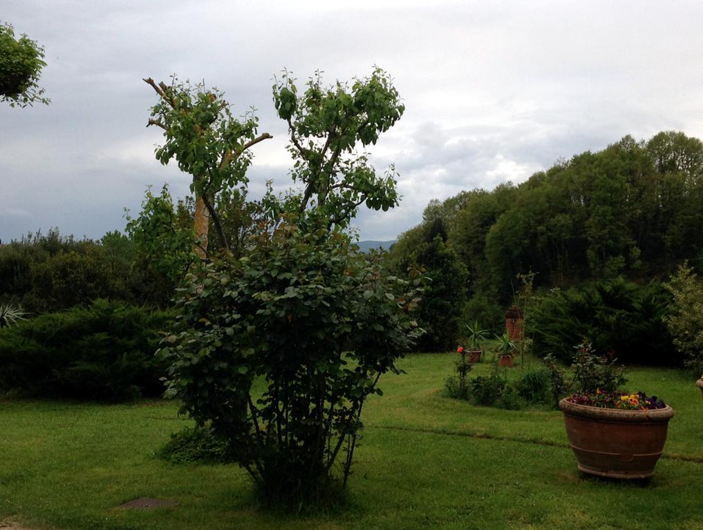 Lovely Tuscan Country House Siena Esterno foto